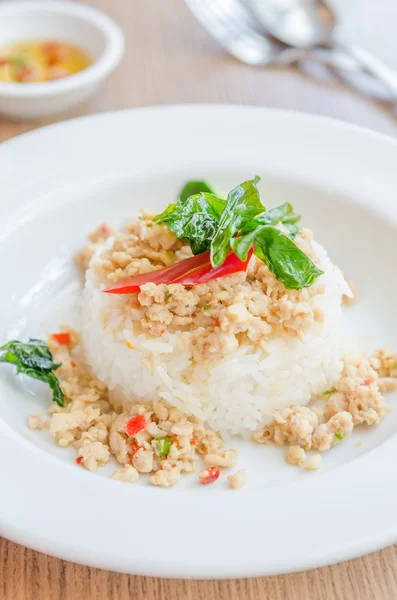 Pollo fritto piccante con basilico e riso — Foto Stock