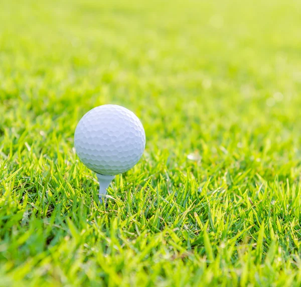 Bola de golfe na grama verde — Fotografia de Stock