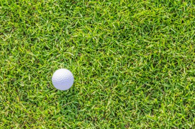 Yeşil çimlerin üzerinde golf topu