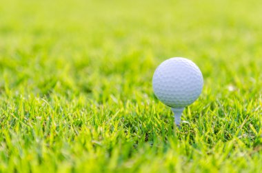 Yeşil çimlerin üzerinde golf topu