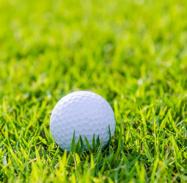 Golfball auf grünem Rasen — Stockfoto