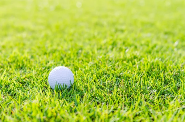 Mingea de golf pe iarbă verde — Fotografie, imagine de stoc