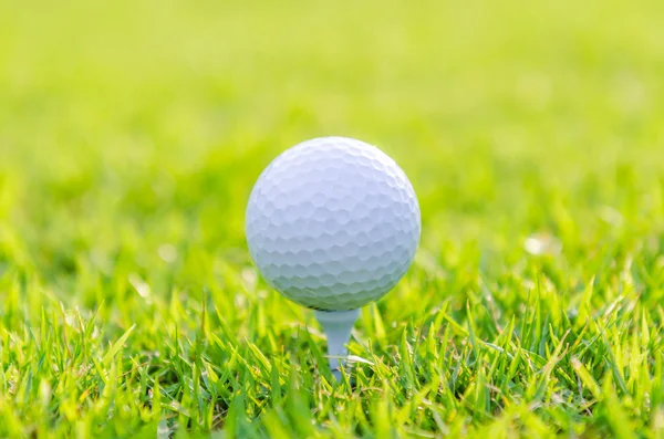 Golf ball on green grass — Stock Photo, Image