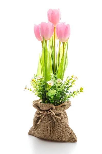 Tulpen blühen — Stockfoto