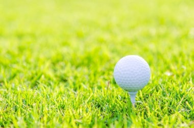 Yeşil çimlerin üzerinde golf topu
