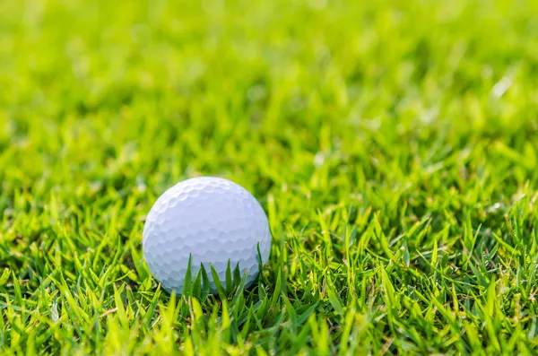 Гольф мяч на зеленой траве — стоковое фото
