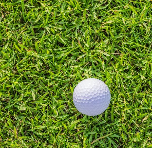 Golfball auf grünem Rasen — Stockfoto