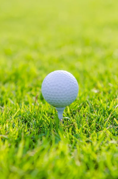 Balle de golf sur herbe verte — Photo