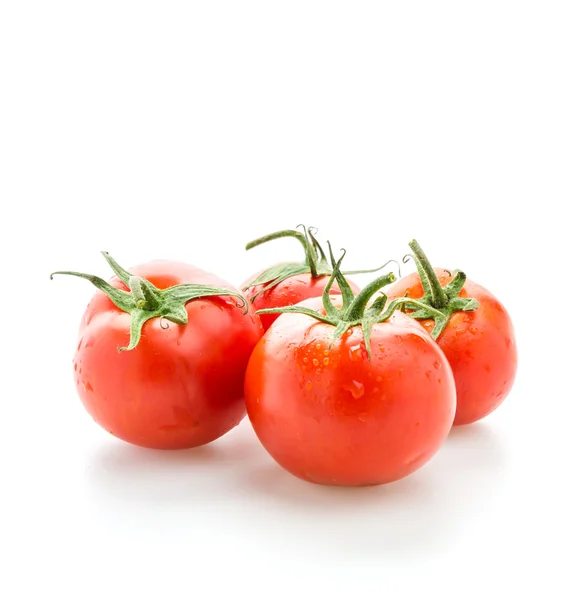 Tomate — Foto de Stock