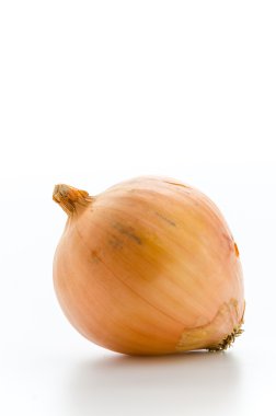 altın soğan