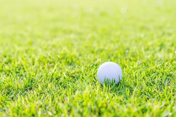 Palla da golf — Foto Stock