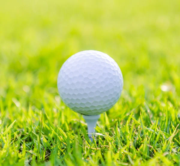 Palla da golf — Foto Stock