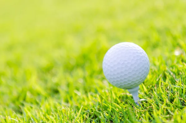 Palla da golf — Foto Stock