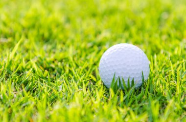 Yeşil çimlerin üzerinde golf topu