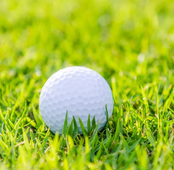 Balle de golf sur herbe verte — Photo