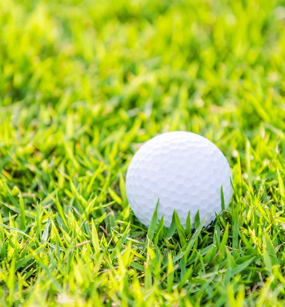 Golfball auf grünem Rasen — Stockfoto