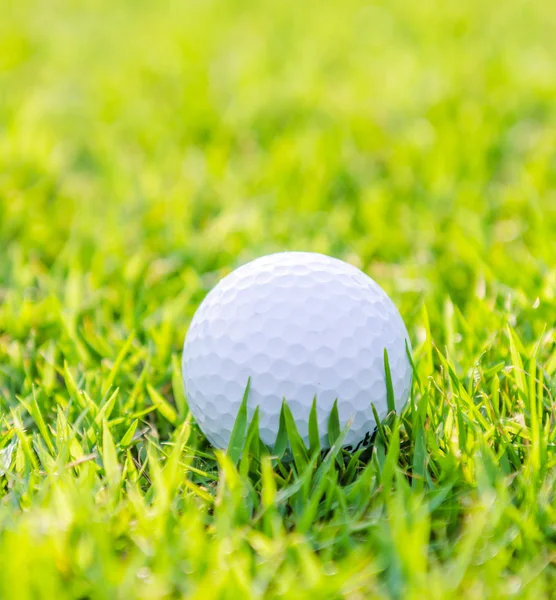 Golfball auf grünem Rasen — Stockfoto