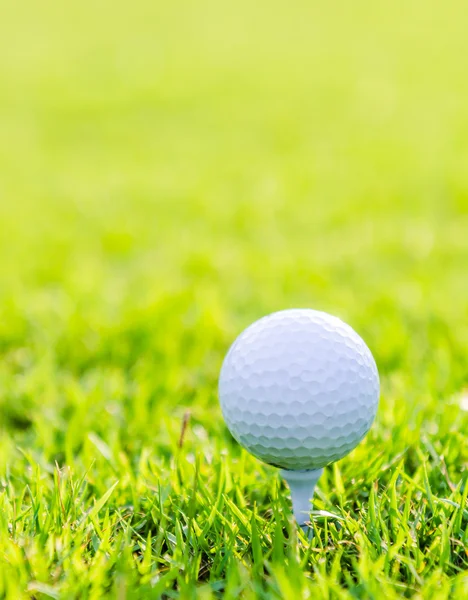 Golfbal op groen gras — Stockfoto