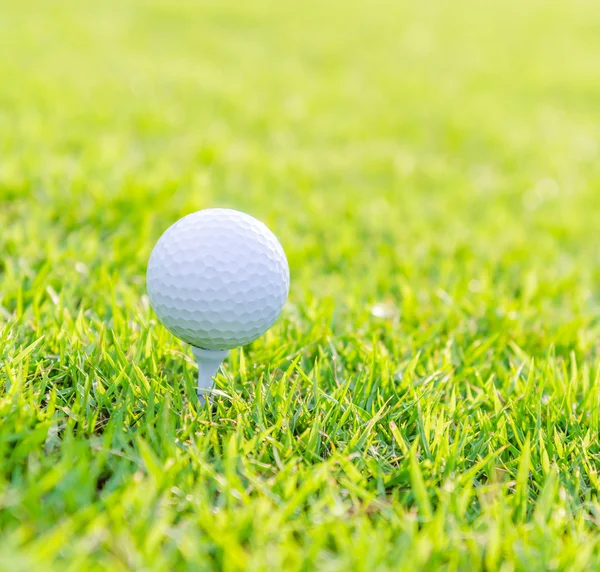 Golfball auf grünem Rasen — Stockfoto