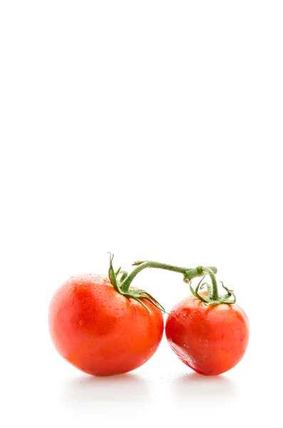 Tomate aislado sobre blanco — Foto de Stock