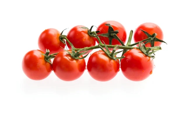 Tomaten — Stockfoto