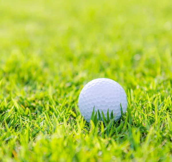 Golfball auf grünem Rasen — Stockfoto