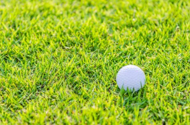 Yeşil çimlerin üzerinde golf topu