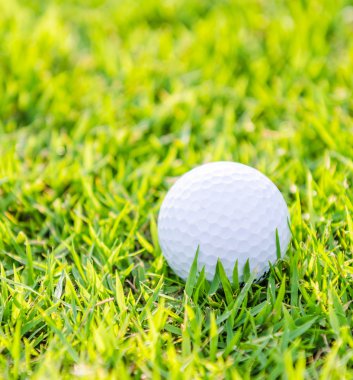 Yeşil çimlerin üzerinde golf topu