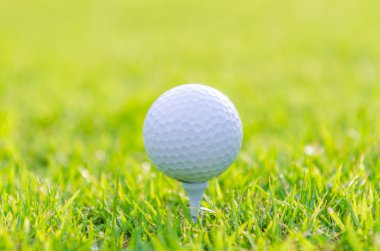 Yeşil çimlerin üzerinde golf topu