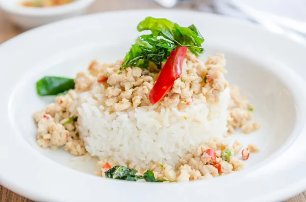 Pollo frito picante con albahaca y arroz — Foto de Stock