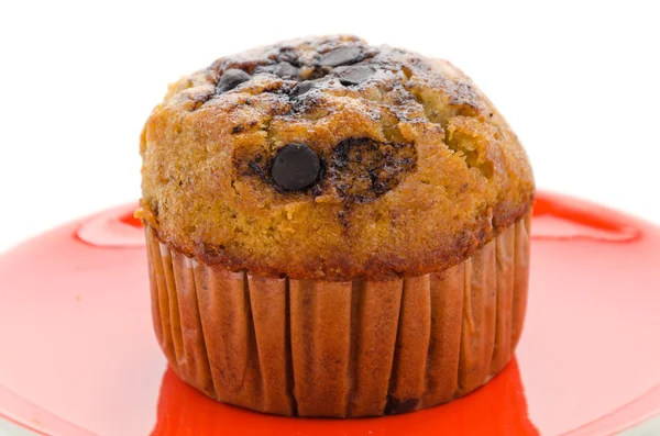 Gâteau muffin au chocolat — Photo