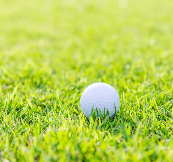푸른 풀 위에 있는 골프공 — 스톡 사진