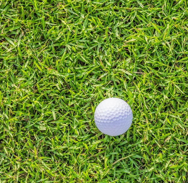 Golfball auf grünem Rasen — Stockfoto