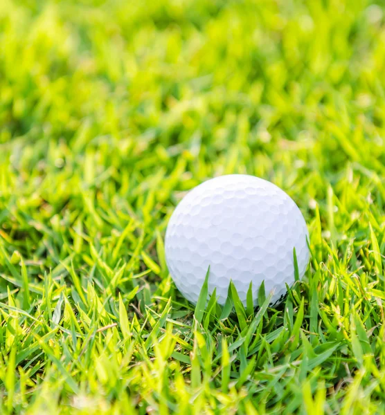 Golfball auf grünem Rasen — Stockfoto