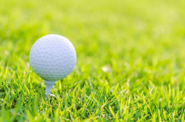 Golfball auf grünem Rasen — Stockfoto