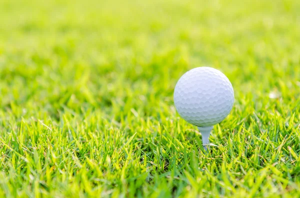 Golfball auf grünem Rasen — Stockfoto