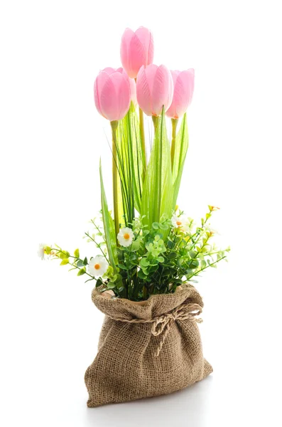 Fiore di tulipani — Foto Stock