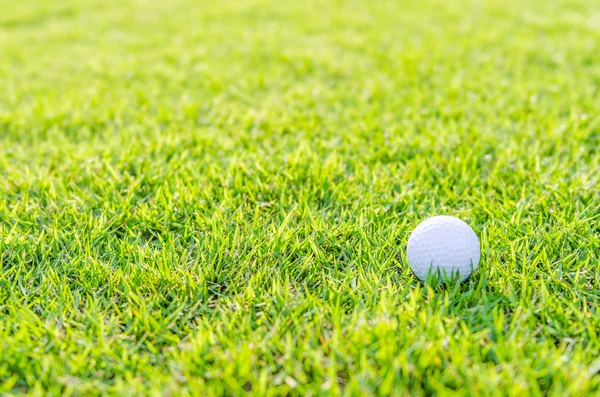 Mingea de golf pe iarbă verde — Fotografie, imagine de stoc