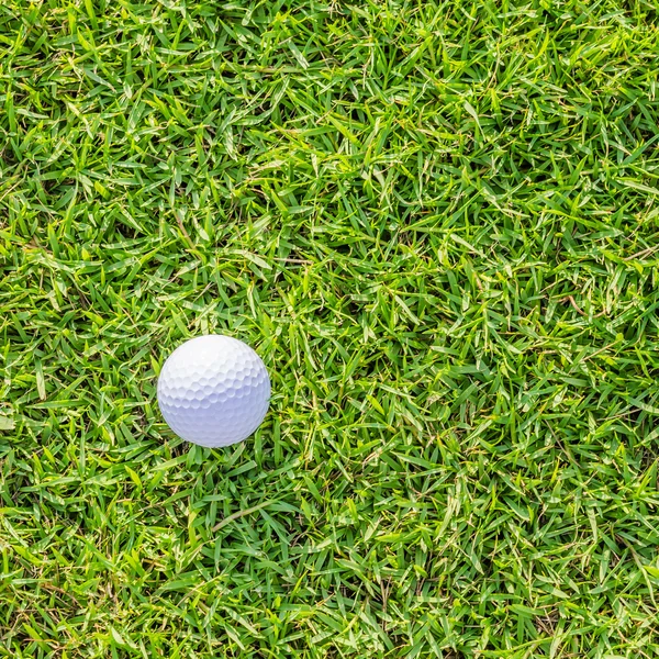 Balle de golf sur herbe verte — Photo