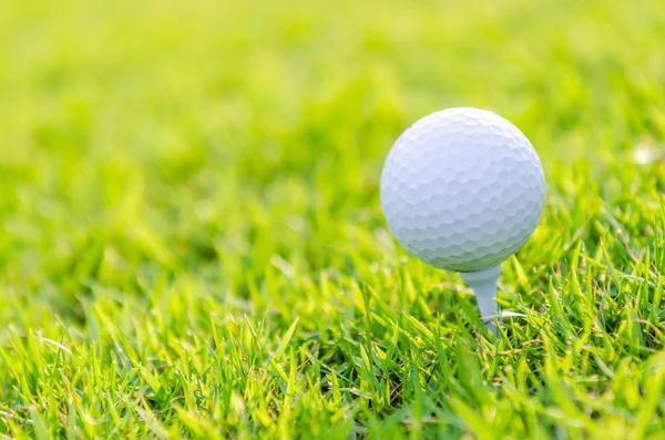 Yeşil çimlerin üzerinde golf topu — Stok fotoğraf