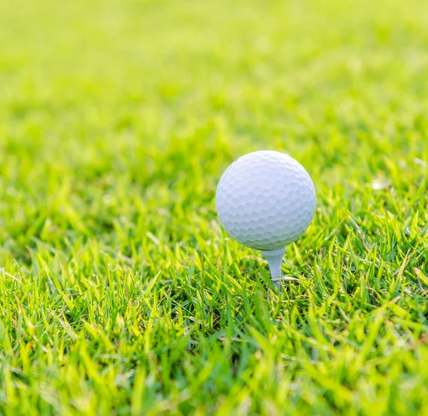 Bola de golfe na grama verde — Fotografia de Stock