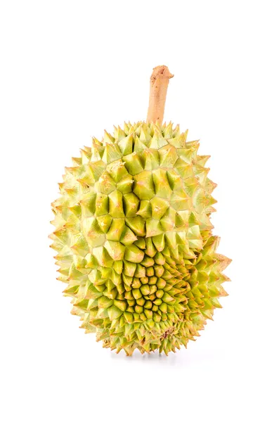 Fondo blanco aislado de fruta duriana — Foto de Stock