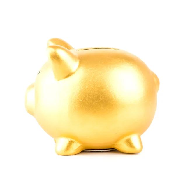 Gold piggy bank isolated white background — Stock Photo, Image
