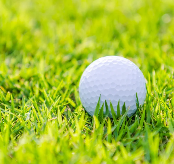 Golfbal op groen gras — Stockfoto