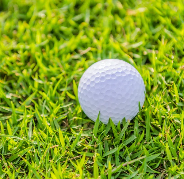 Golfball auf grünem Rasen — Stockfoto