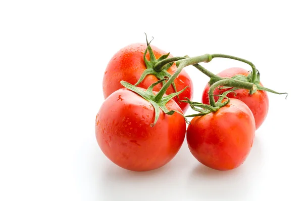 Fresh tomatoes — Stock Photo, Image