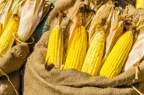 Corn in bag — Stock Photo, Image