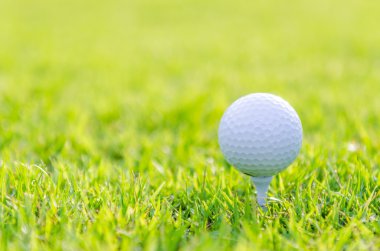 Yeşil çimlerin üzerinde golf topu