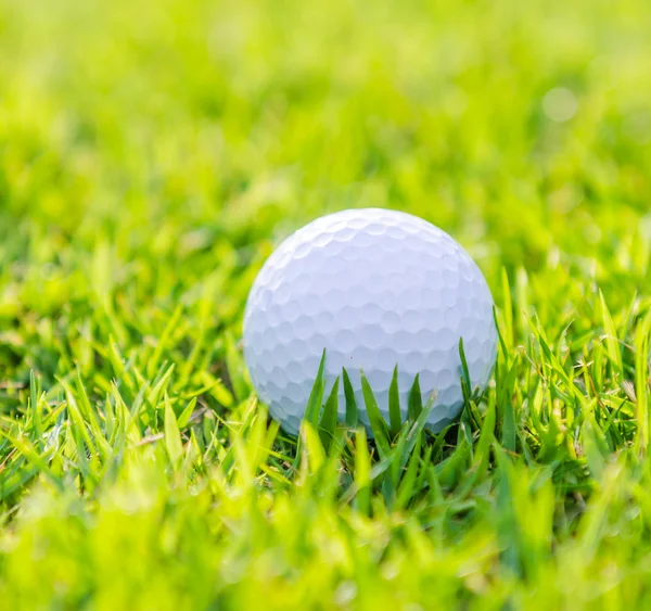 Golfball auf grünem Rasen — Stockfoto