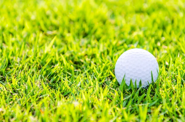 Golfbal op groen gras — Stockfoto